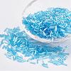 Glass Bugle Beads SEED-E001-9mm-163-1