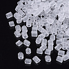 8/0 Two Cut Glass Seed Beads SEED-S033-12A-01-2