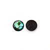 Paua Shell Cabochons SHEL-WH0001-002B-2