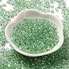 Baking Glass Seed Beads SEED-K009-07A-04-2