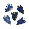 Natural Lapis Lazuli Pendants G-E570-01G-09-1