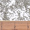 MIYUKI Delica Beads X-SEED-J020-DB1159-4