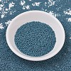MIYUKI Delica Beads SEED-X0054-DB0792-2