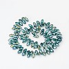 Electroplate Glass Beads Strands X-EGLA-J068-AB03-2