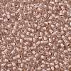 TOHO 11/0 Round Beads X-SEED-TR11-1069-2