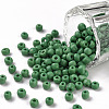 (Repacking Service Available) Glass Seed Beads SEED-C019-4mm-47-1