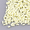 Handmade Polymer Clay Sprinkle Beads CLAY-T015-22N-1