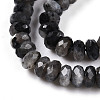 Natural Larvikite Beads Strands G-T141-46-3