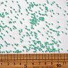 11/0 FGB Grade A Baking Paint Glass Seed Beads X-SEED-N001-A-1030-3