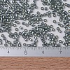 MIYUKI Delica Beads X-SEED-J020-DB0697-4