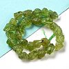 Raw Rough Natural Peridot Beads Strands G-P528-B05-01-2