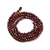 Natural Garnet Beads Strands G-I341-09B-3