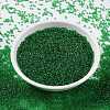 MIYUKI Round Rocailles Beads SEED-X0056-RR0146-2