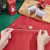 Polyester Ribbon OCOR-WH0082-528B-3