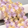 Natural Selenite Beads Strands G-P493-03E-2