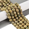 Natural Verdite Stone Beads Strands G-P530-B07-04-2