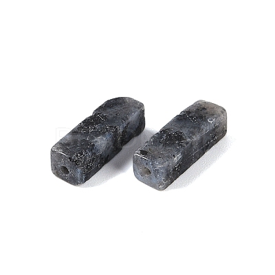 Natural Larvikite Beads G-G137-01M-1