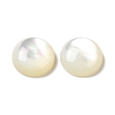 Natural White Shell Cabochons X-SSHEL-M022-01D-1