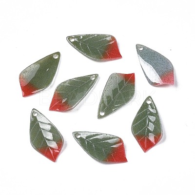 Plastic Pendants KY-N015-041B-1