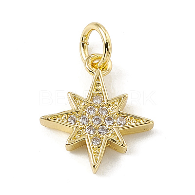 Brass Micro Pave Cubic Zirconia Charms ZIRC-F132-02G-1