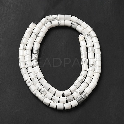 Natural Howlite Beads Strands G-I341-04-1