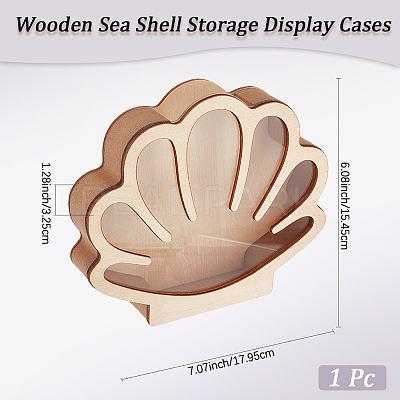 Shell Shaped Wooden Sea Shell Storage Display Cases with Visible Window ODIS-WH20012-01-1
