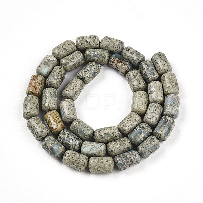 Natural Variscite Beads Strands G-N346-01B-14-1