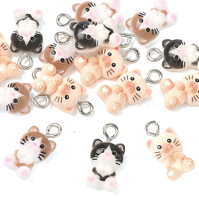 15Pcs 3 Colors Resin Charm RESI-YW0005-70-1