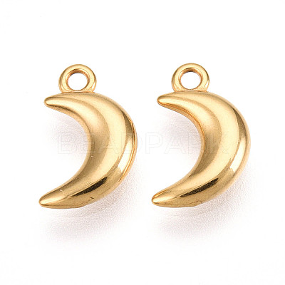 304 Stainless Steel Charms STAS-N109-138G-1