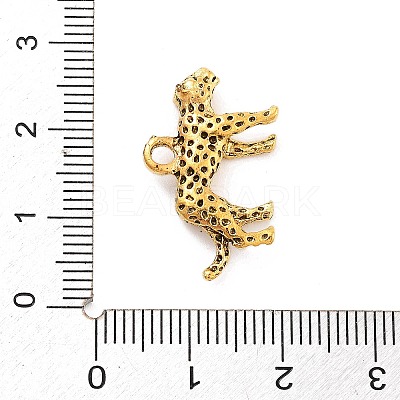 Tibetan Style Alloy Charms FIND-G077-02AG-1