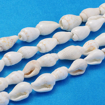 Natural Trumpet Shell Beads Strands S02KI011-1