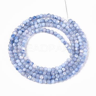 Dyed Natural Trochid Shell/Trochus Shell Beads Strands SSHEL-T017-13A-1