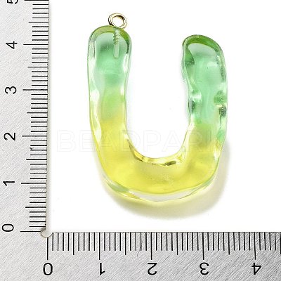 Resin Pendant FIND-Q107-01U-02-1