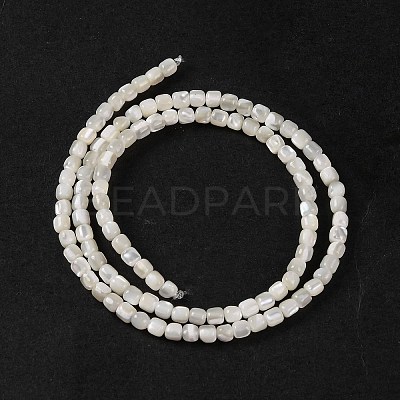 Natural Trochus Shell Beads Strands BSHE-S304-09B-1