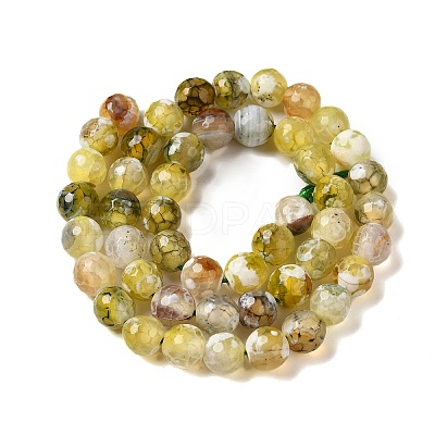 Dyed & Heated Natural Fire Crackle Agate Beads Strands G-P539-C01-01-1