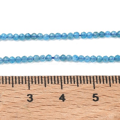Natural Apatite Beads Strands G-Z160-A01-2mm-1