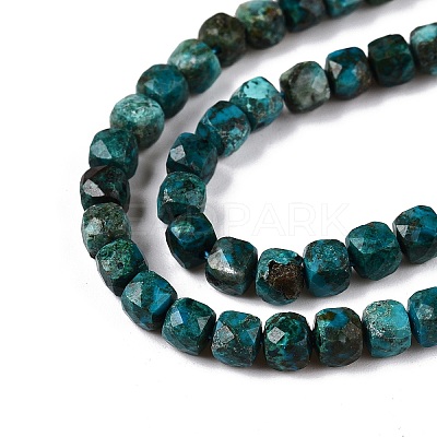 Natural Chrysocolla Beads Strands G-N342-117-1