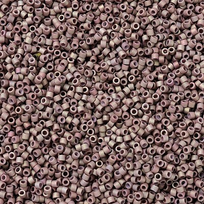 MIYUKI Delica Beads SEED-MY11-DB1061-1