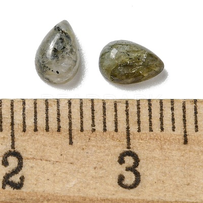 Natural Labradorite Cabochons G-Q173-02A-07-1