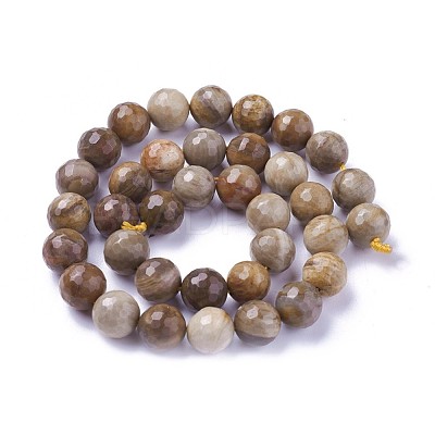 Natural Petrified Wood Beads Strands G-P430-16-D-1