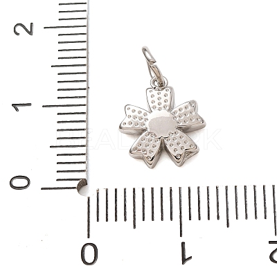 304 Stainless Steel Micro Pave Clear Cubic Zirconia Charms CU-CBAB6EC-24P-1
