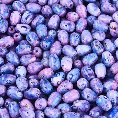 Picasso Glass Seed Beads SEED-N012-10F-1