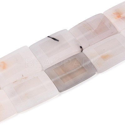 Dyed Natural white Agate Beads Strands G-T144-25B-01-1