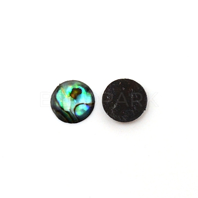 Paua Shell Cabochons SHEL-WH0001-002B-1