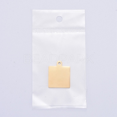 304 Stainless Steel Pendants STAS-I140-23B-G-1