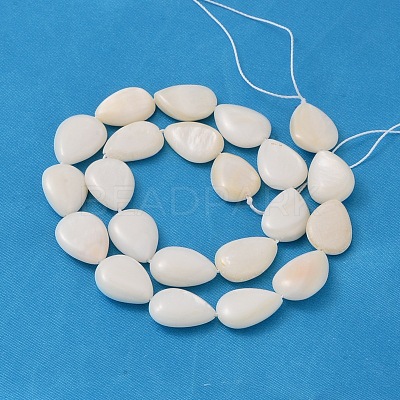 Natural White Shell Beads Strands X-PBB263Y-1-1