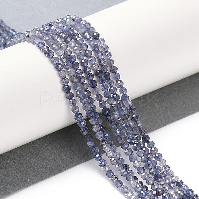 Natural Iolite Beads Strands X-G-N342-32-1