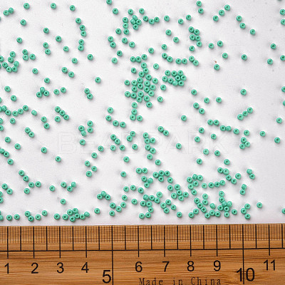 11/0 FGB Grade A Baking Paint Glass Seed Beads X-SEED-N001-A-1030-1