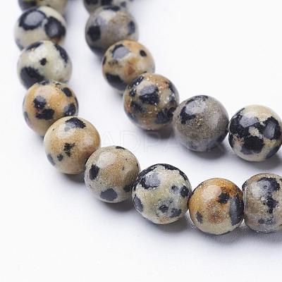 Natural Dalmatian Jasper Beads Strands X-GSR6mmC004-1