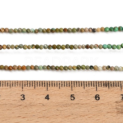 Natural HuBei Turquoise Beads Strands GG-CBA4399-A01-01-1